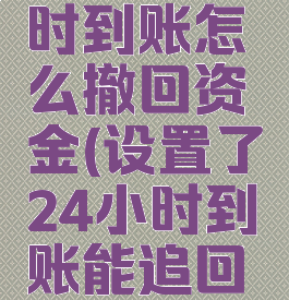 微信24小时到账怎么撤回资金(设置了24小时到账能追回吗)