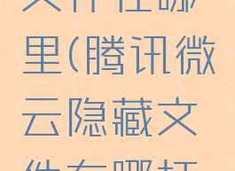 微云隐藏文件在哪里(腾讯微云隐藏文件在哪打开)