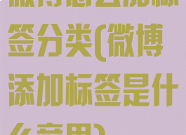 微博怎么加标签分类(微博添加标签是什么意思)