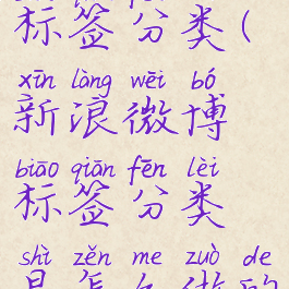 微博怎么加标签分类(新浪微博标签分类是怎么做的)