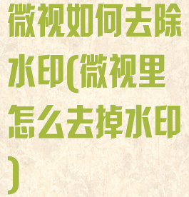 微视如何去除水印(微视里怎么去掉水印)