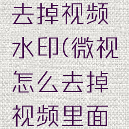 微视怎么去掉视频水印(微视怎么去掉视频里面的水印)