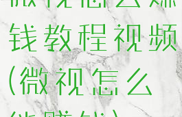 微视怎么赚钱教程视频(微视怎么能赚钱)