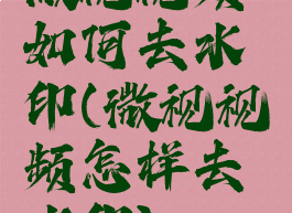 微视视频如何去水印(微视视频怎样去水印)