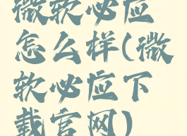 微软必应怎么样(微软必应下载官网)