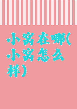 小窝在哪(小窝怎么样)