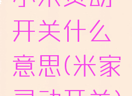 小米灵动开关什么意思(米家灵动开关)