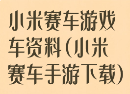 小米赛车游戏车资料(小米赛车手游下载)