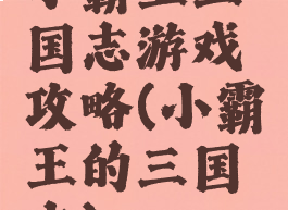 小霸王三国志游戏攻略(小霸王的三国志)