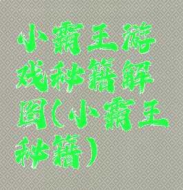 小霸王游戏秘籍解图(小霸王秘籍)