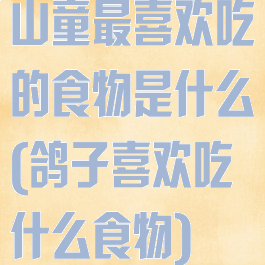 山童最喜欢吃的食物是什么(鸽子喜欢吃什么食物)