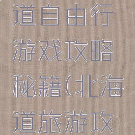 广西北海道自由行游戏攻略秘籍(北海道旅游攻略)