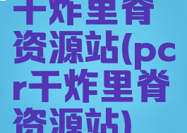 干炸里脊资源站(pcr干炸里脊资源站)