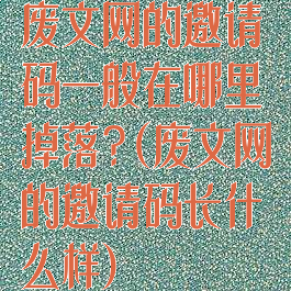 废文网的邀请码一般在哪里掉落?(废文网的邀请码长什么样)