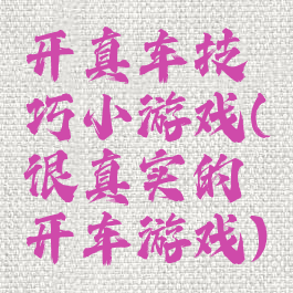 开真车技巧小游戏(很真实的开车游戏)