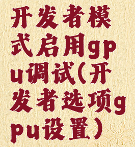开发者模式启用gpu调试(开发者选项gpu设置)