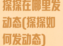 探探在哪里发动态(探探如何发动态)