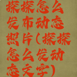 探探怎么发布动态照片(探探怎么发动态文字)