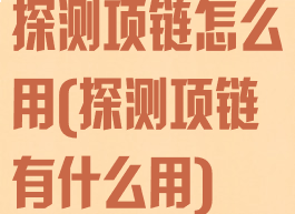 探测项链怎么用(探测项链有什么用)