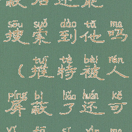 推特被人屏蔽后还能搜索到他吗(推特被人屏蔽了还可以发私信吗)