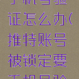 推特账号被锁定要手机号验证怎么办(推特账号被锁定要手机号验证怎么办呀)