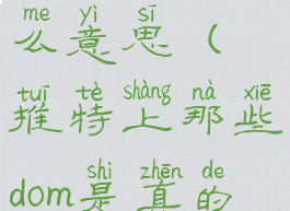 推特dm是什么意思(推特上那些dom是真的吗)