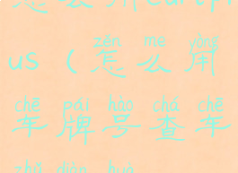 怎么用editplus(怎么用车牌号查车主电话)