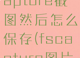 怎么用fscapture截图然后怎么保存(fscapture图片保存在哪)