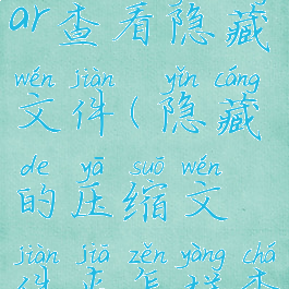 怎么用winrar查看隐藏文件(隐藏的压缩文件夹怎样查找)