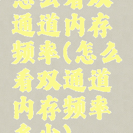 怎么看双通道内存频率(怎么看双通道内存频率多少)