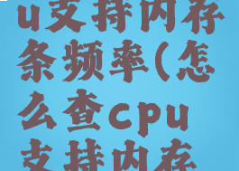怎么看cpu支持内存条频率(怎么查cpu支持内存频率)