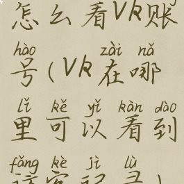 怎么看vk账号(vk在哪里可以看到访客记录)