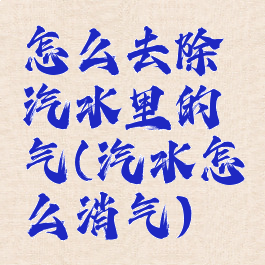 怎么去除汽水里的气(汽水怎么消气)