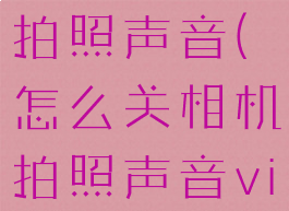 怎么关相机拍照声音(怎么关相机拍照声音vivo)