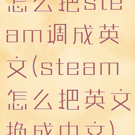怎么把steam调成英文(steam怎么把英文换成中文)