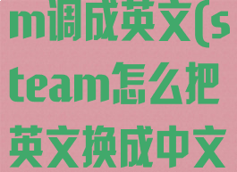 怎么把steam调成英文(steam怎么把英文换成中文)