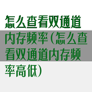 怎么查看双通道内存频率(怎么查看双通道内存频率高低)