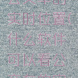 怎么查看公交车的实时位置(什么软件可以看公交车的实时位置)