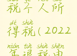 怎么样退税个人所得税(2022年退税申报流程)