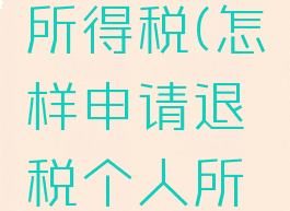 怎样申请退税个人所得税(怎样申请退税个人所得税退的多)