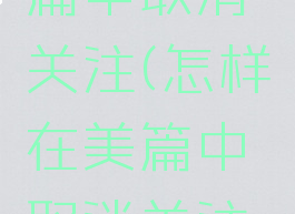 怎样在美篇中取消关注(怎样在美篇中取消关注呢)