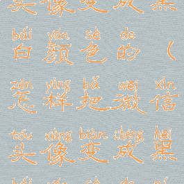 怎样把微信头像变成黑白颜色的(怎样把微信头像变成黑白颜色的呢)