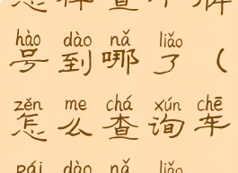 怎样查车牌号到哪了(怎么查询车牌到哪了)