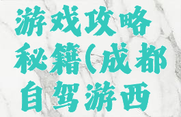 成都川藏线自驾游游戏攻略秘籍(成都自驾游西藏旅游最佳路线)