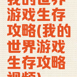 我的世界游戏生存攻略(我的世界游戏生存攻略视频)
