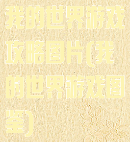 我的世界游戏攻略图片(我的世界游戏图鉴)