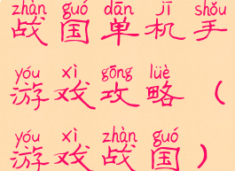 战国单机手游戏攻略(游戏战国)
