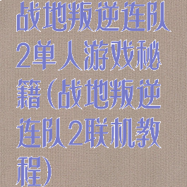 战地叛逆连队2单人游戏秘籍(战地叛逆连队2联机教程)