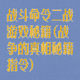 战斗命令二战游戏秘籍(战争的真相秘籍指令)