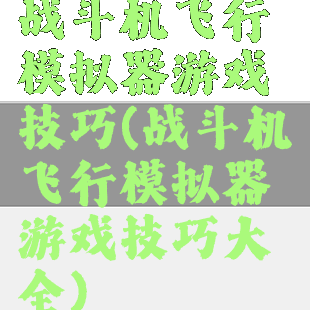 战斗机飞行模拟器游戏技巧(战斗机飞行模拟器游戏技巧大全)